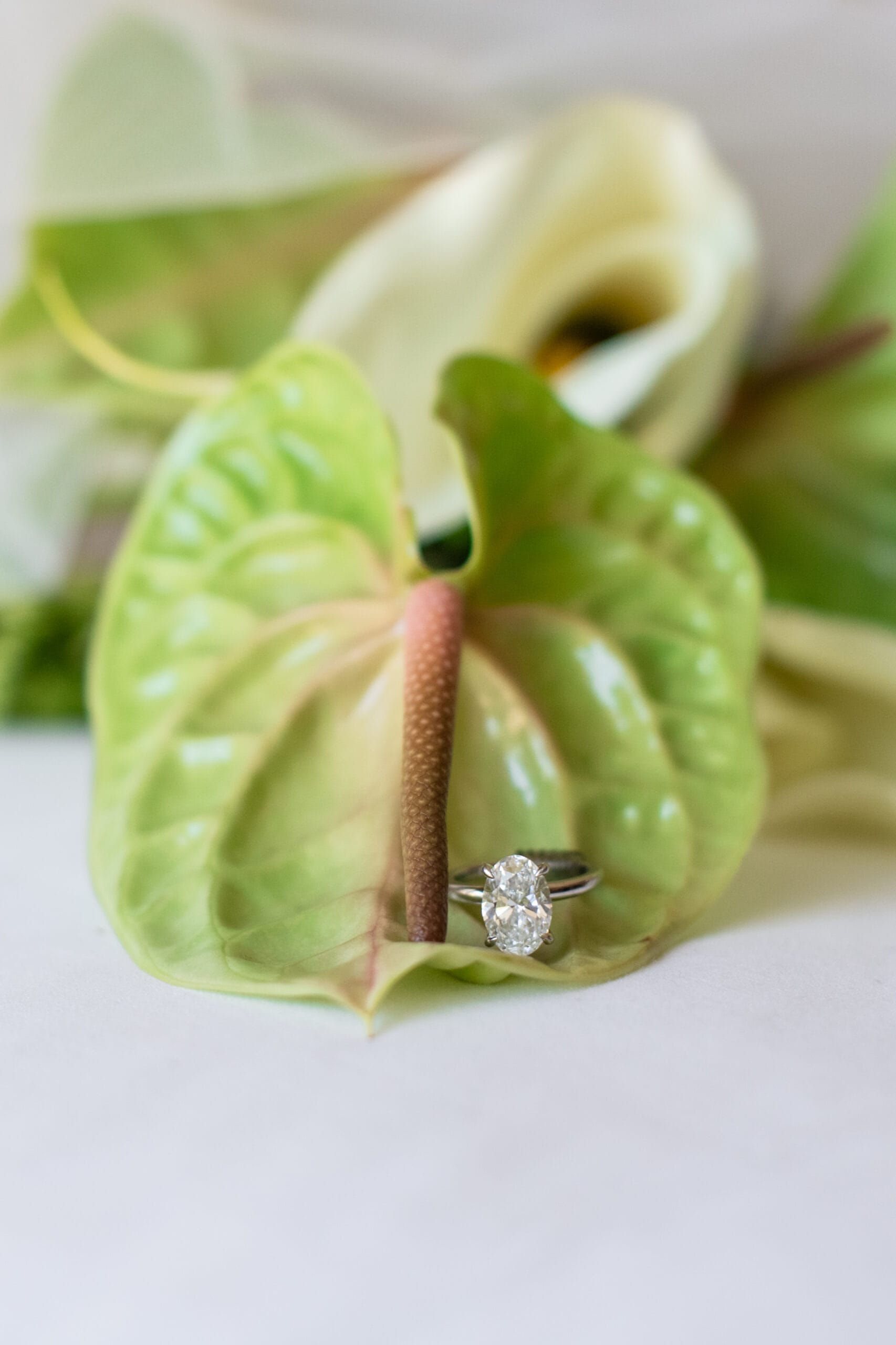 Wedding ring detail photographed in Palm Beach, Florida